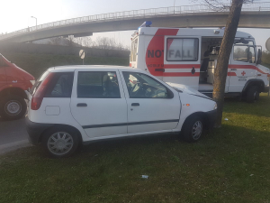 2017-03-25_PKW-Baum-02