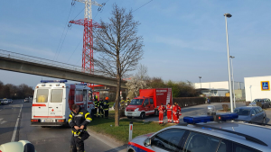 2017-03-25_PKW-Baum-03