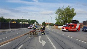 2017-05-04_Maibaum_01