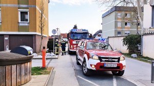 2020-04-03_Katze-Baum-02